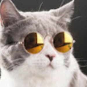 Meet your Posher, Jeffry